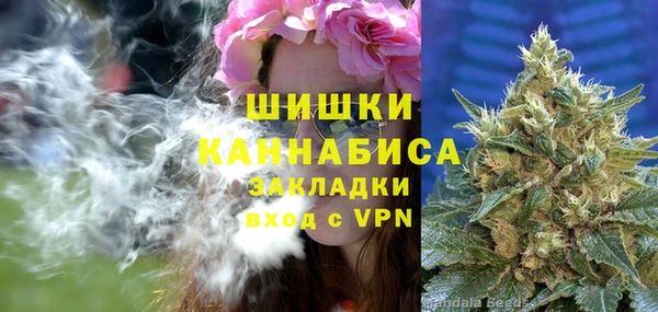 стаф Верхний Тагил