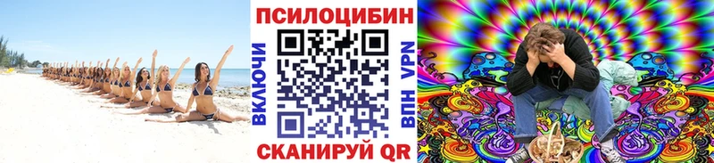 Псилоцибиновые грибы GOLDEN TEACHER  мега ТОР  Славянск-на-Кубани 
